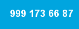 999 173 66 87